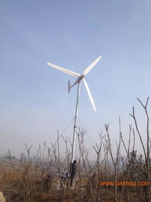 专业生产20kw中小型风力发电机组 技术与性价比的完美结合